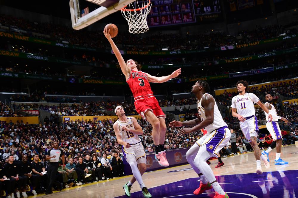 的职业生涯 的职业生涯